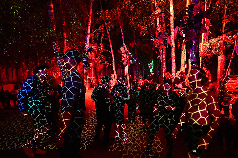 Auf diesem Bild sind nicht viele Giraffen versteckt