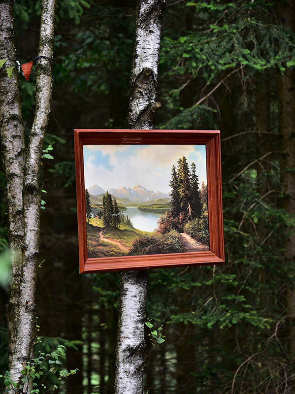 Ein Bild von einem Bild von einem Wald in einem Wald