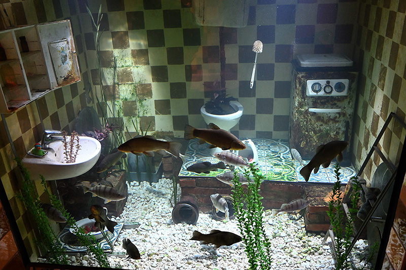 Ist das Kunst oder kann das auch woanders hin?