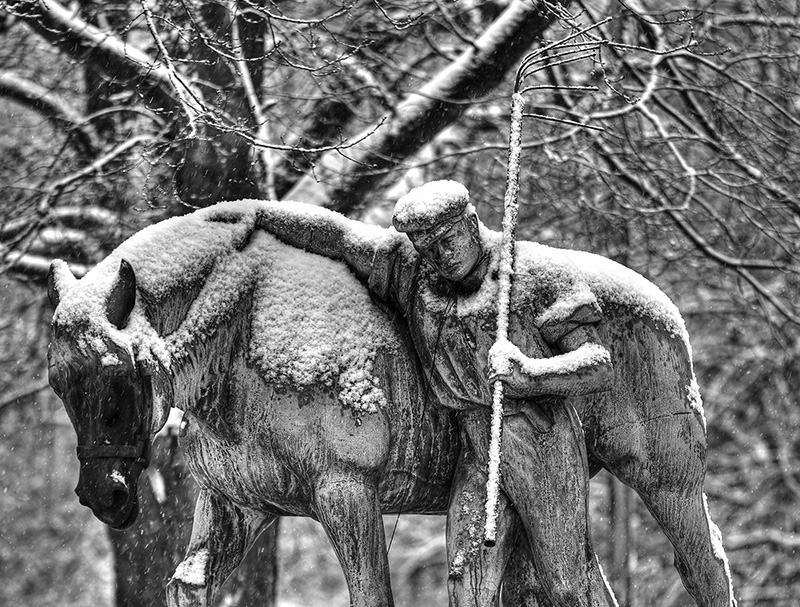 Ist das Kunst oder kann das auch woanders hin?