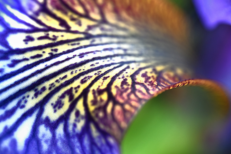 Designpitch für einen Mario-Kart-Level