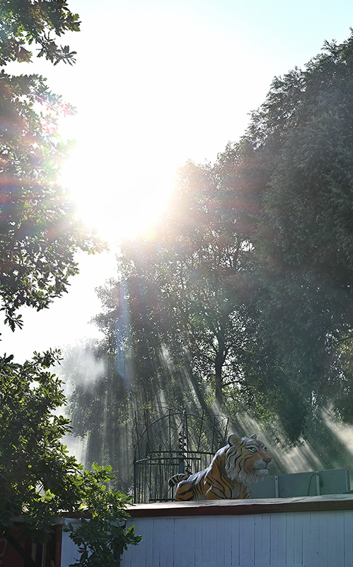 Eine Raketenwissenschaft für sich Eine Raketenwissenschaft für sich