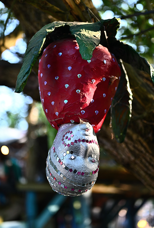 Eine Raketenwissenschaft für sich Eine Raketenwissenschaft für sich