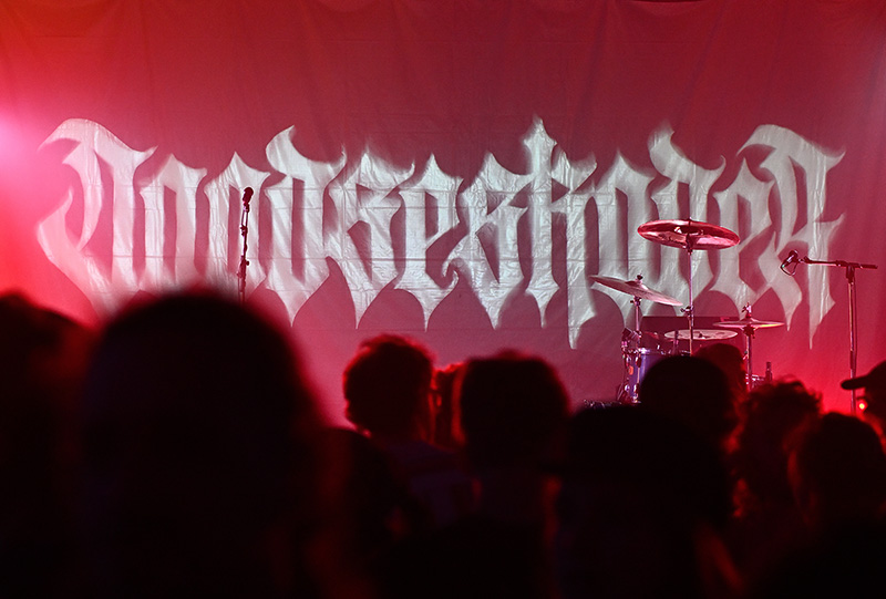 Gesundheit! Gesundheit!