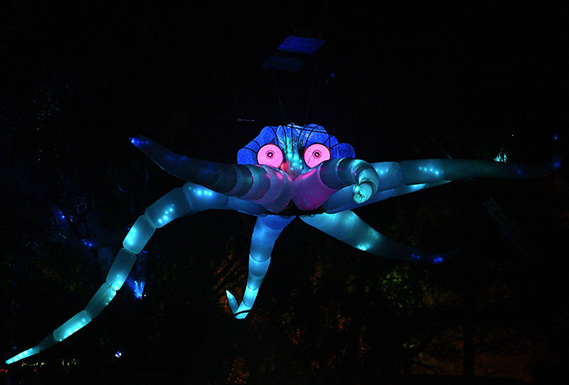 Die gute alte Drum'n-Bass-Krake Die gute alte Drum'n-Bass-Krake