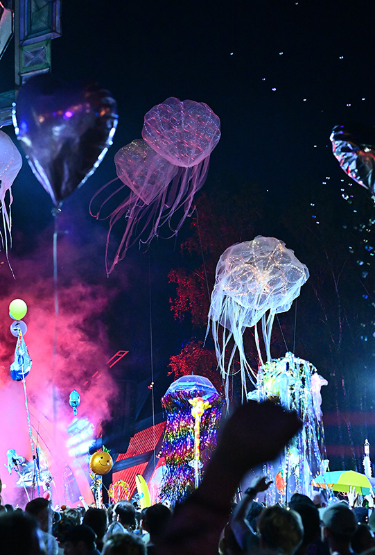 Quallenversammlung am Sonnendeck Quallenversammlung am Sonnendeck