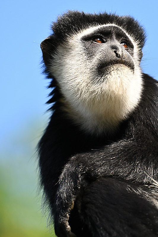 Einfach mal unvoreingenommen über Atomkraft nachdenken